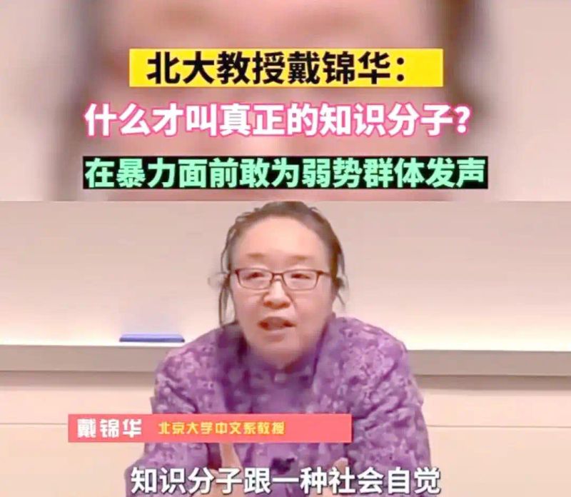 什么是公共知识分子