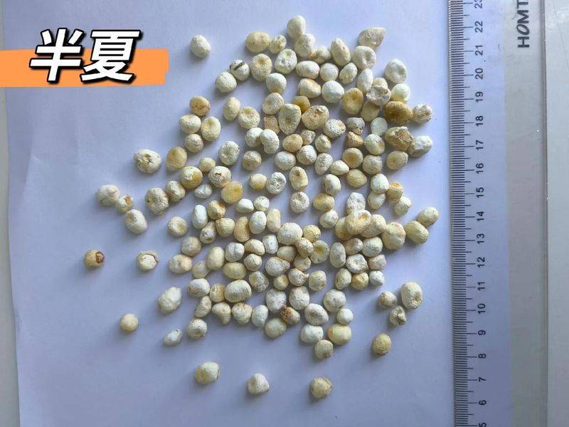 半夏种植技术农广天地