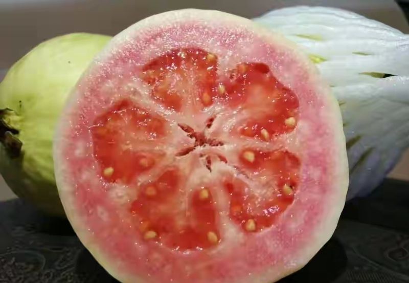 西瓜芭乐种植技术