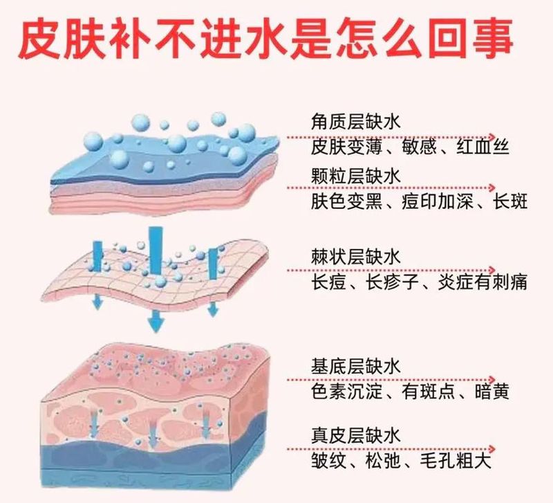 基础皮肤知识