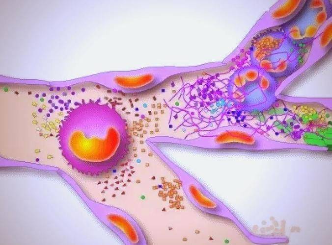 托玛琳自发热护腰多少钱