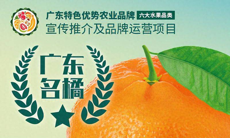 贡柑幼树种植技术视频