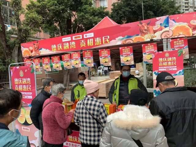 贡柑幼树种植技术视频