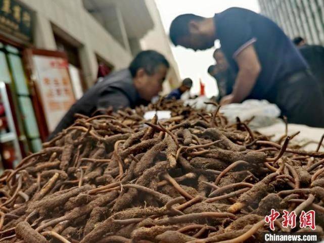 冬虫夏草多少钱一斤