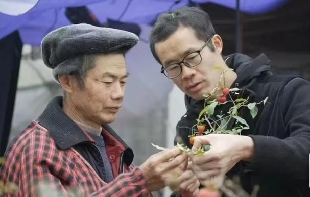 金弹子种植技术