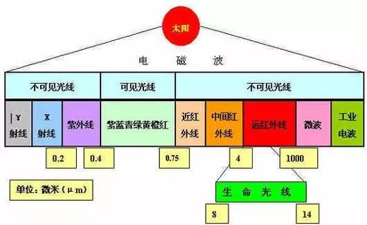 托玛琳自发热护腰多少钱