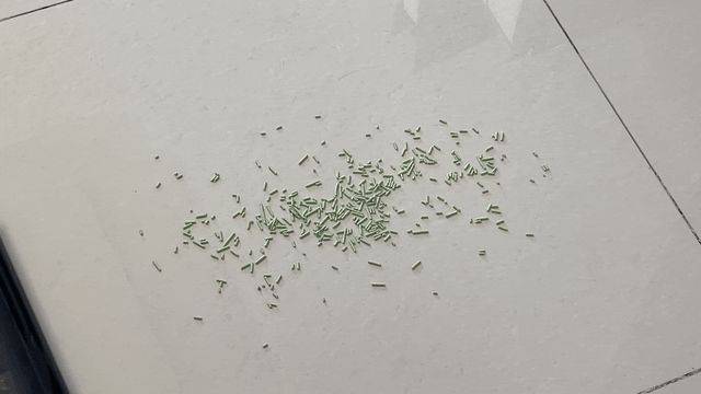 洗地机构造