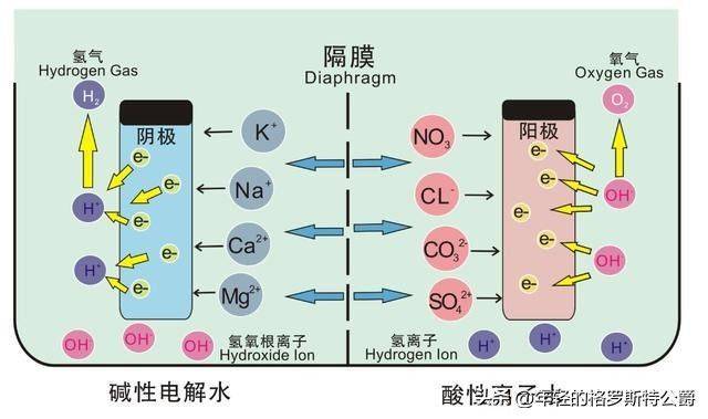 洗地机构造