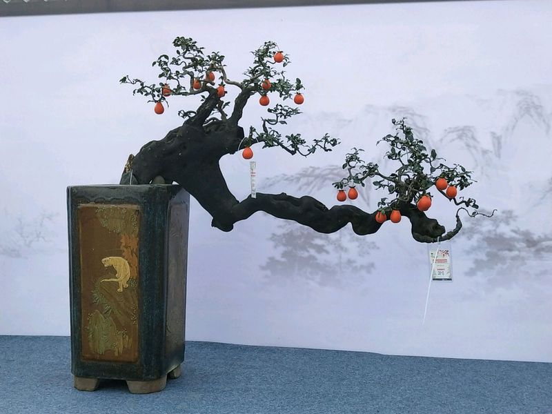 金弹子种植技术