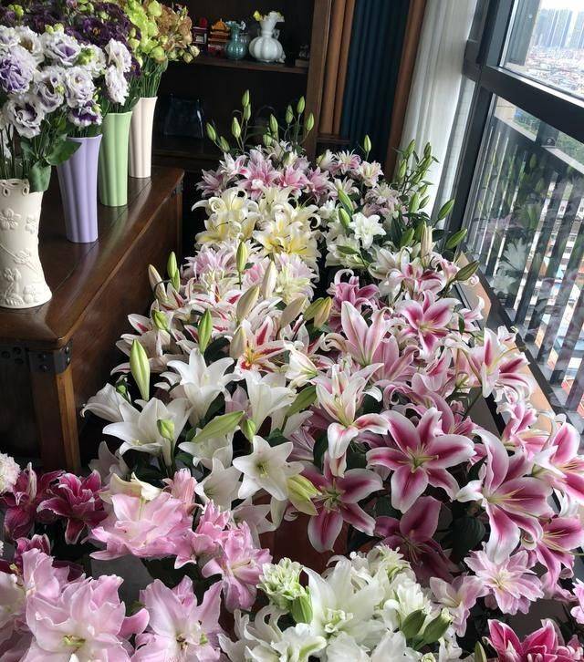 香水百合花的种植方法