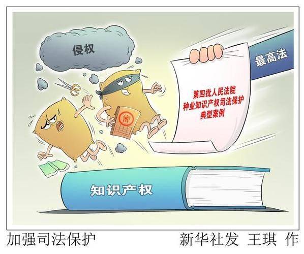 知识产权投诉扣几分