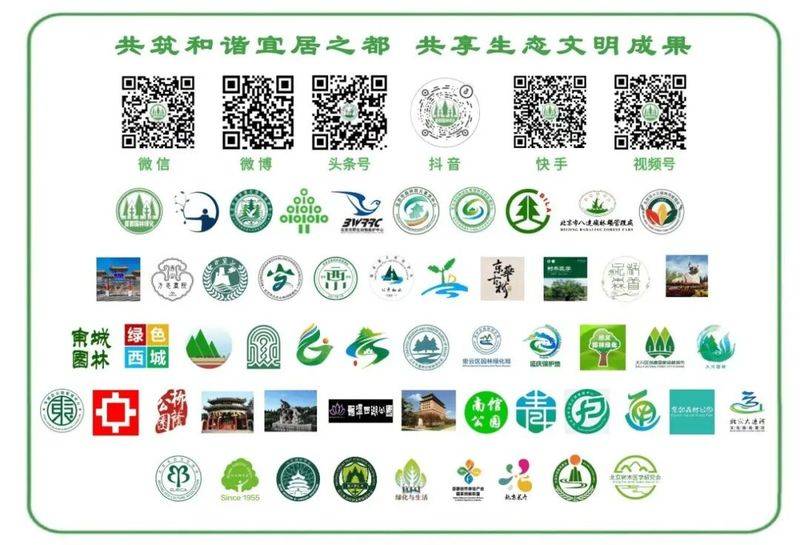 金弹子种植技术