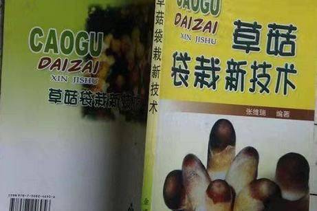草菇栽培管理新技术