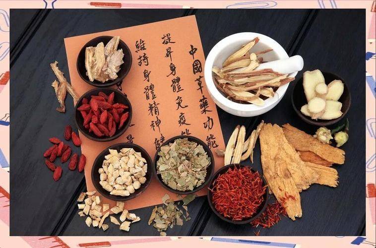 热门及名贵中药材种植技术