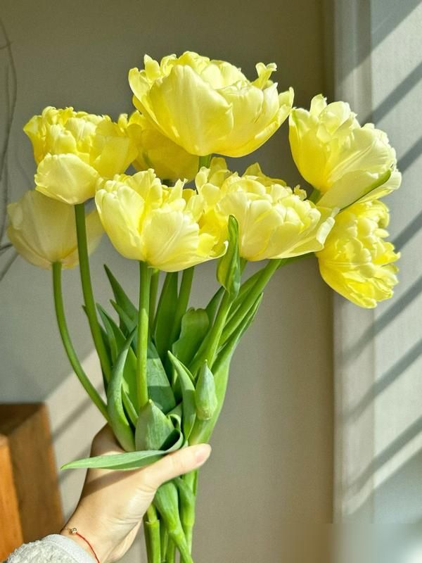 香水百合花的种植方法