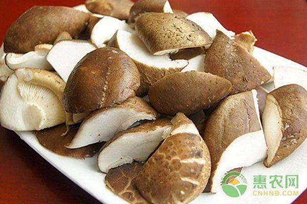 草乌种植技术