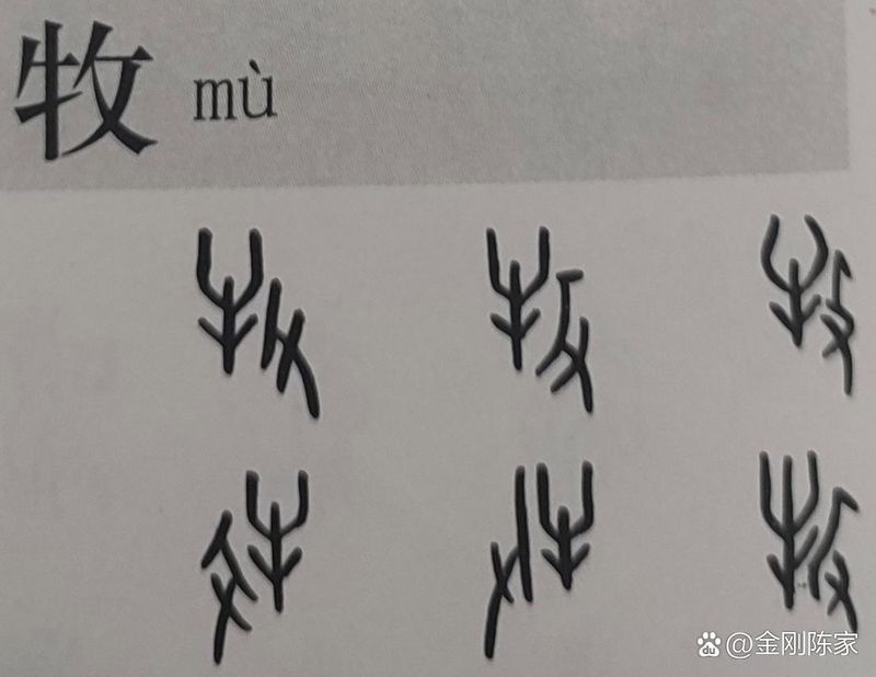 牧原行情分析师
