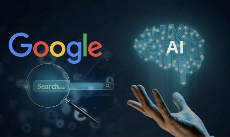 新网站如何进行seo