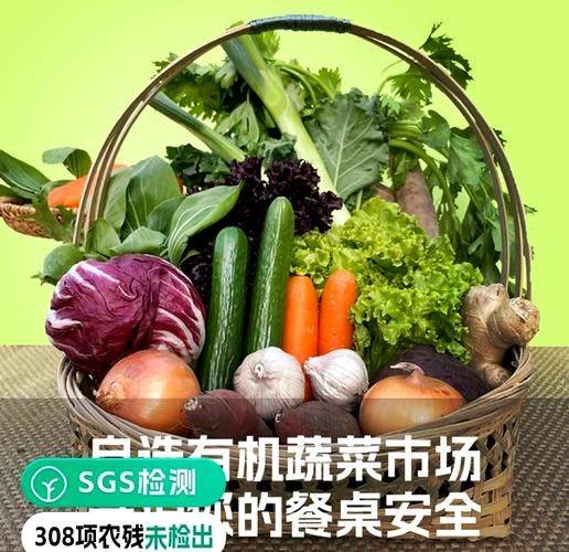 有机蔬菜种植技术加盟