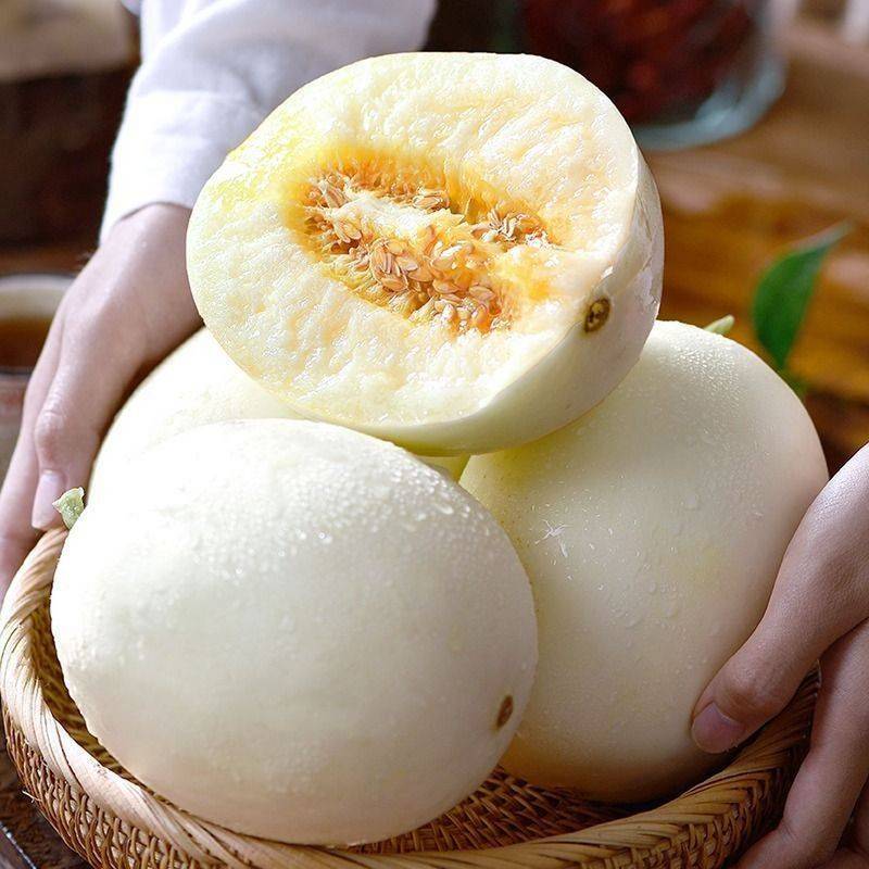 Technology for melon production