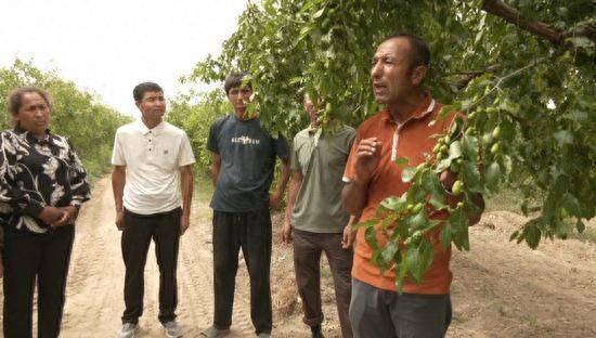 Black-tree planting techniques