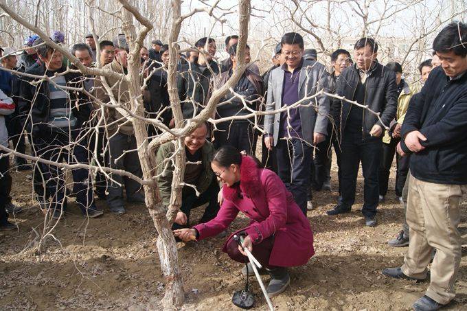 Black-tree planting techniques