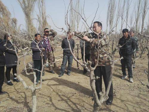 Black-tree planting techniques