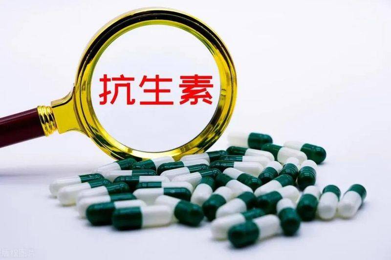 髋关节置换术多少钱