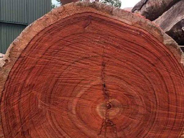The price of redwood furniture in myanmar fell sharply