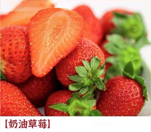 奶油草莓的种植方法