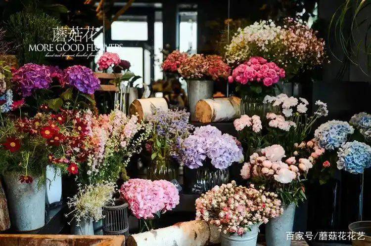 No experience in opening a flower shop