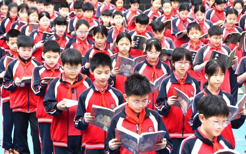 Pictures of the languages of primary schools with a collection of knowledge