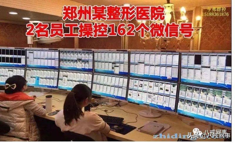 虫虫seo软件破解版