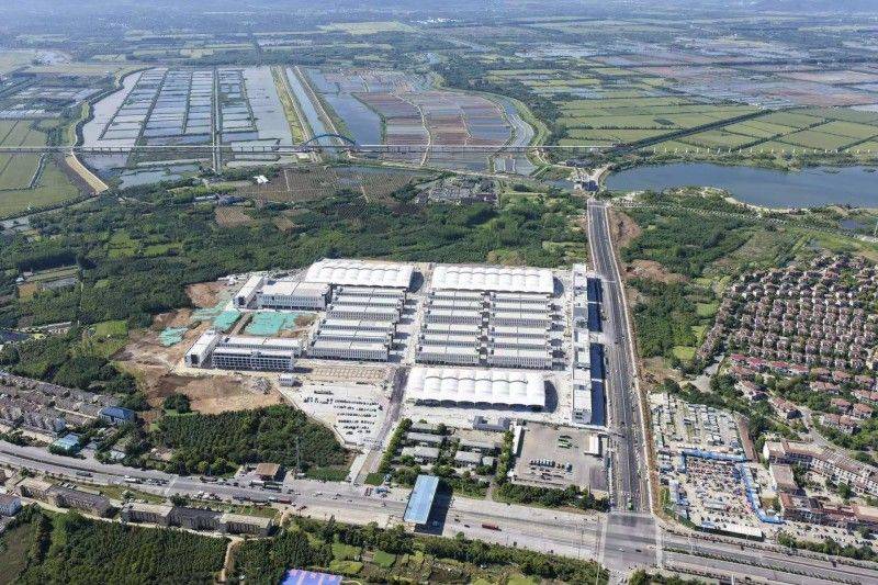 安徽苗木市场果树种植