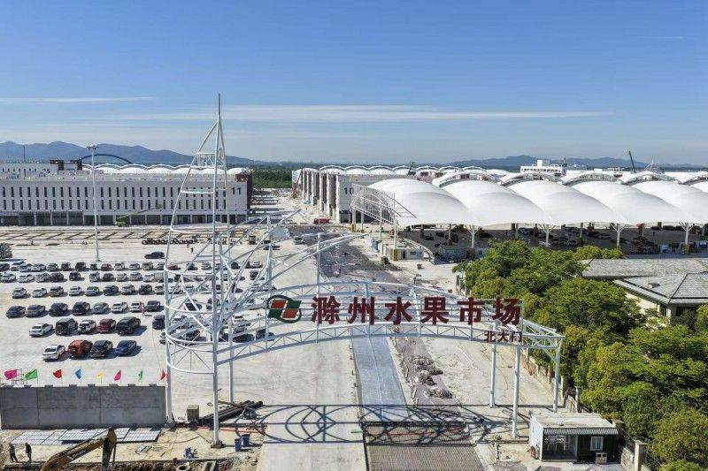 安徽苗木市场果树种植