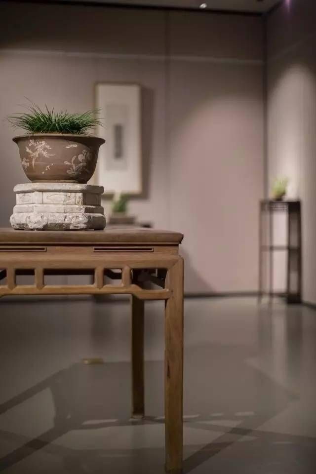 小石菖蒲盆景种植方法