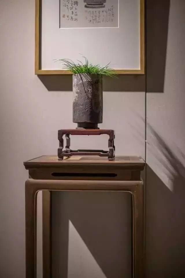小石菖蒲盆景种植方法