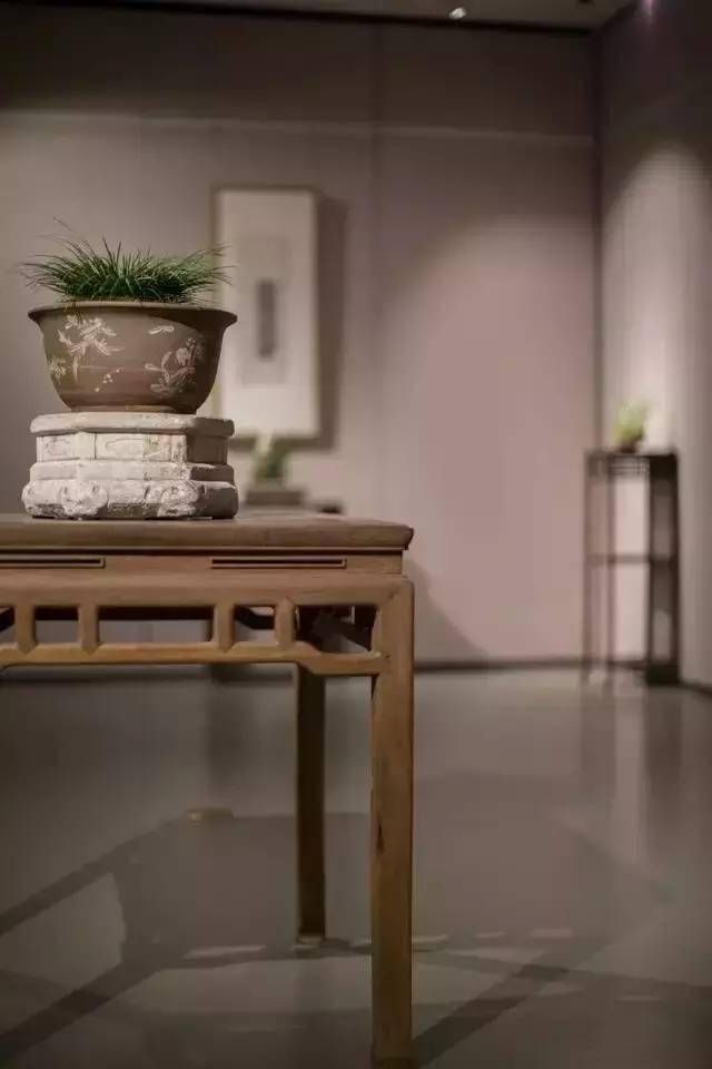 小石菖蒲盆景种植方法