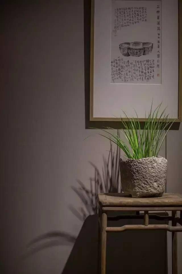 小石菖蒲盆景种植方法