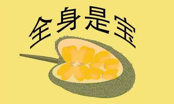 全身是宝的菠萝蜜