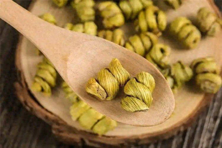 大棚铁皮石斛种植技术
