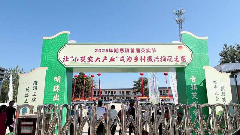 芡实批发多少钱一斤