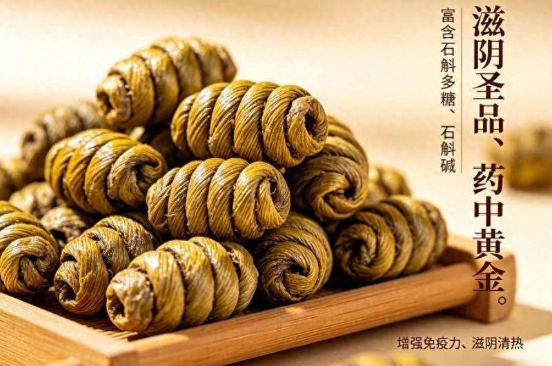 大棚铁皮石斛种植技术