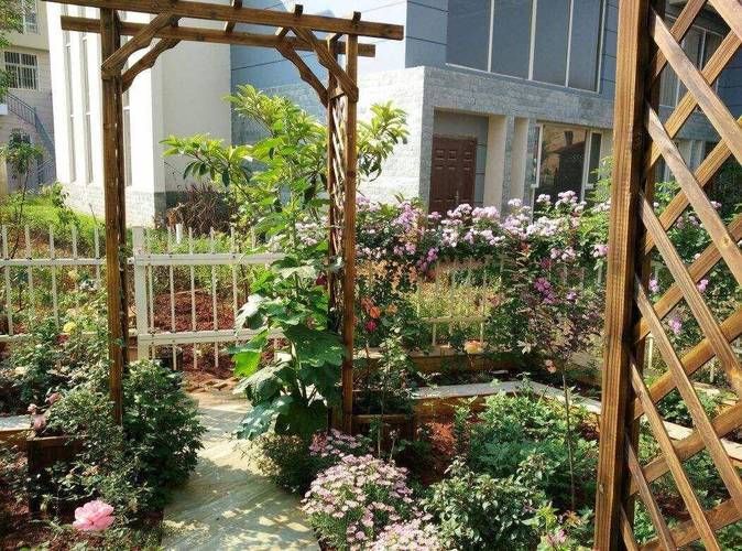 四季桂花树种植技术
