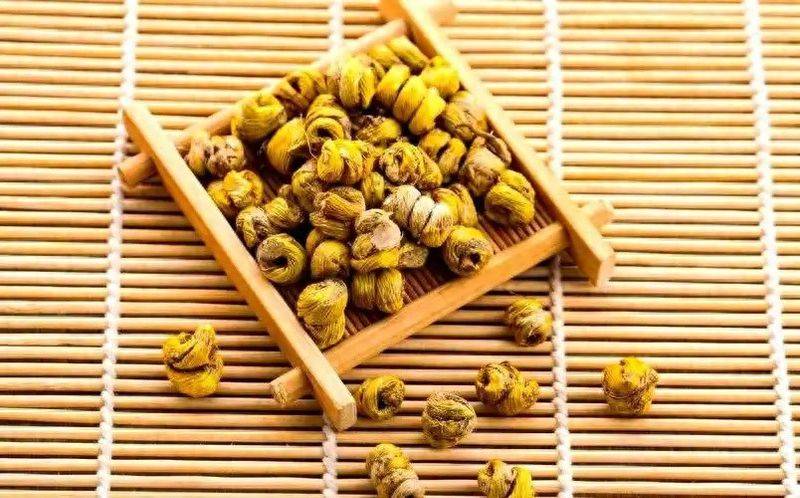 大棚铁皮石斛种植技术
