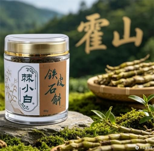 大棚铁皮石斛种植技术