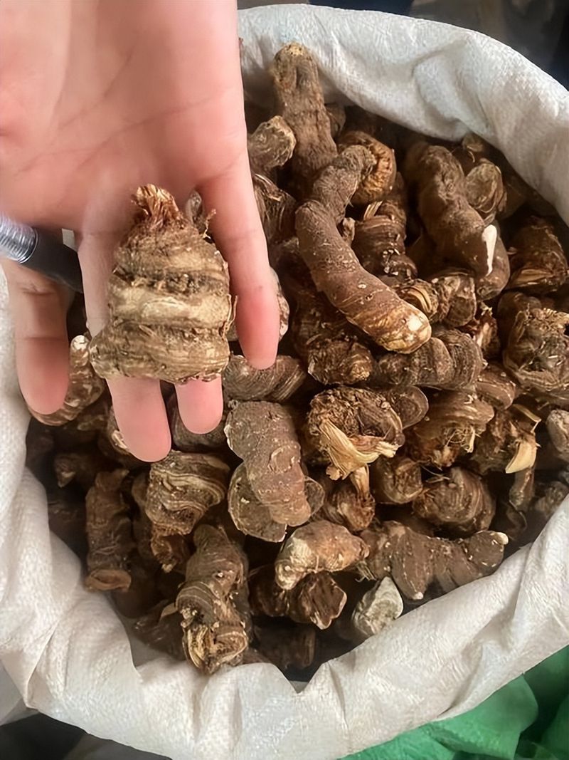 重楼人工种植技术