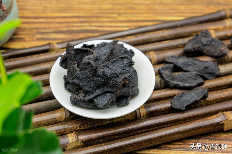 重楼人工种植技术