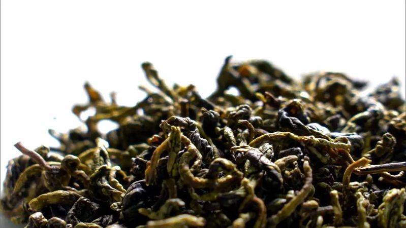 龙滩珍珠李种植技术