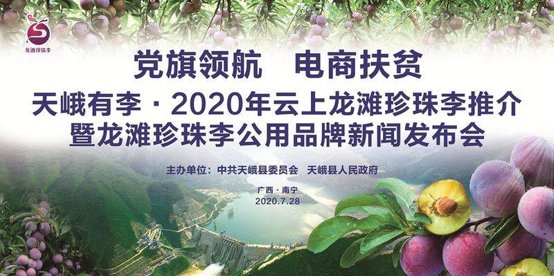 龙滩珍珠李种植技术